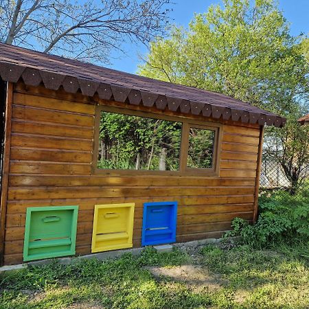 Къща За Гости Casa Blanca Targovishte (Targovishte) Exterior foto